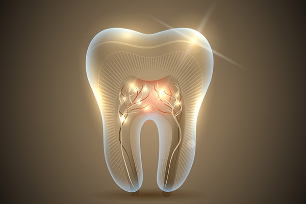 Endodontics | SmileCode Dental | NW Calgary | General Dentist